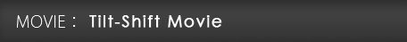 MOVIE: Tilt-Shift Movie